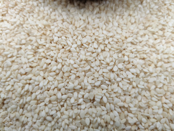 Premium Natural White Sesame Seeds Origin Nigeria Admixture Less than 1% Moisture 6% – 7% maximum Purity 99% – 99.95% minimum - SYNTPRO COMMODITIES LTD - Nigeria
